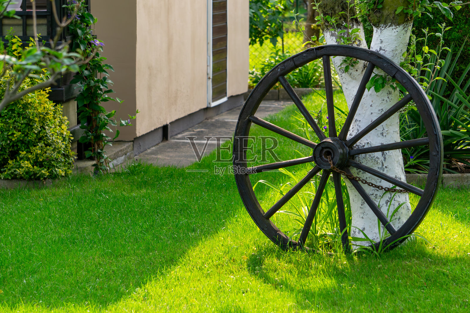一只旧木制马车轮靠在树干上，绿草坪上，背景有一个花园小屋。一个乡村风格的装饰元素。照片摄影图片