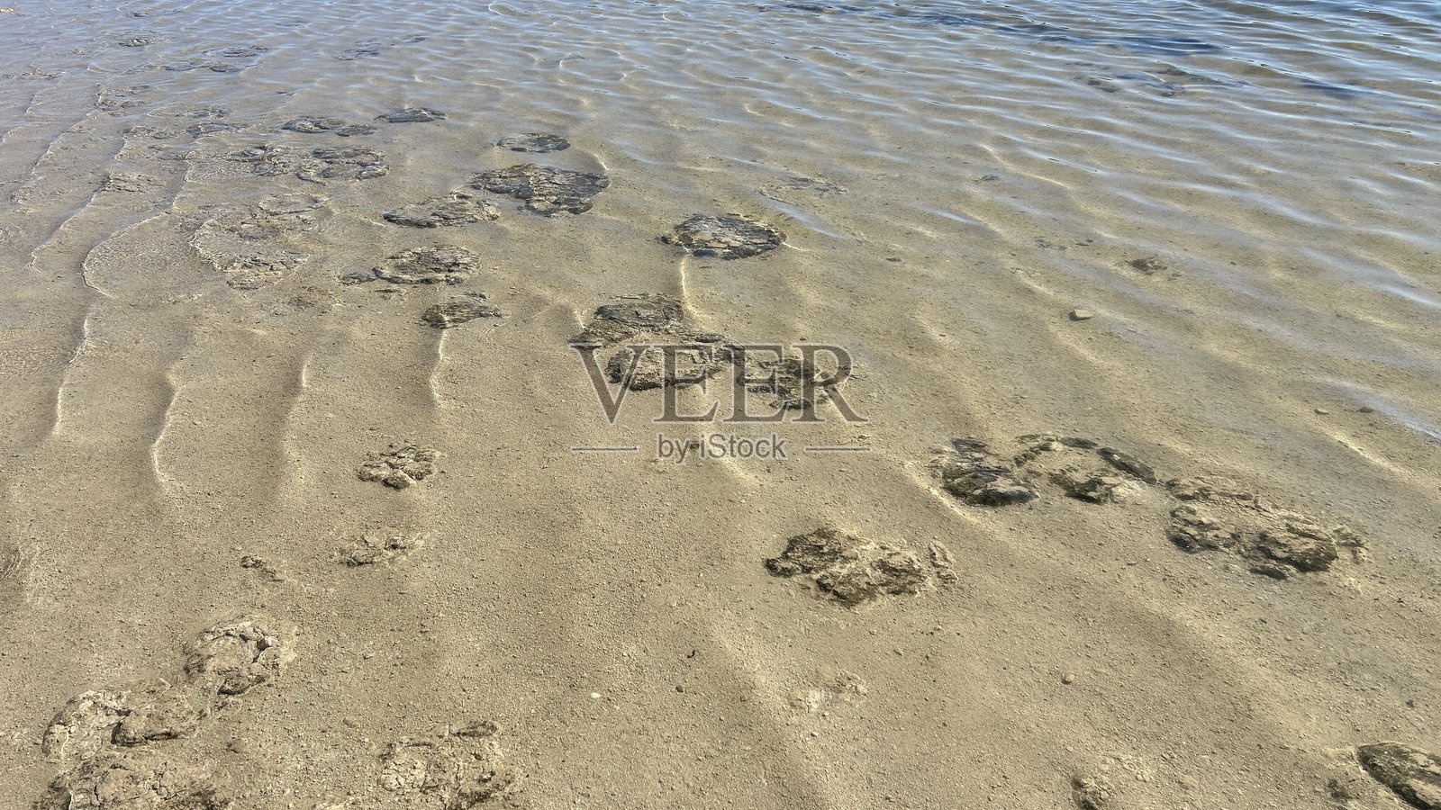 浅滩中的叠层石照片摄影图片