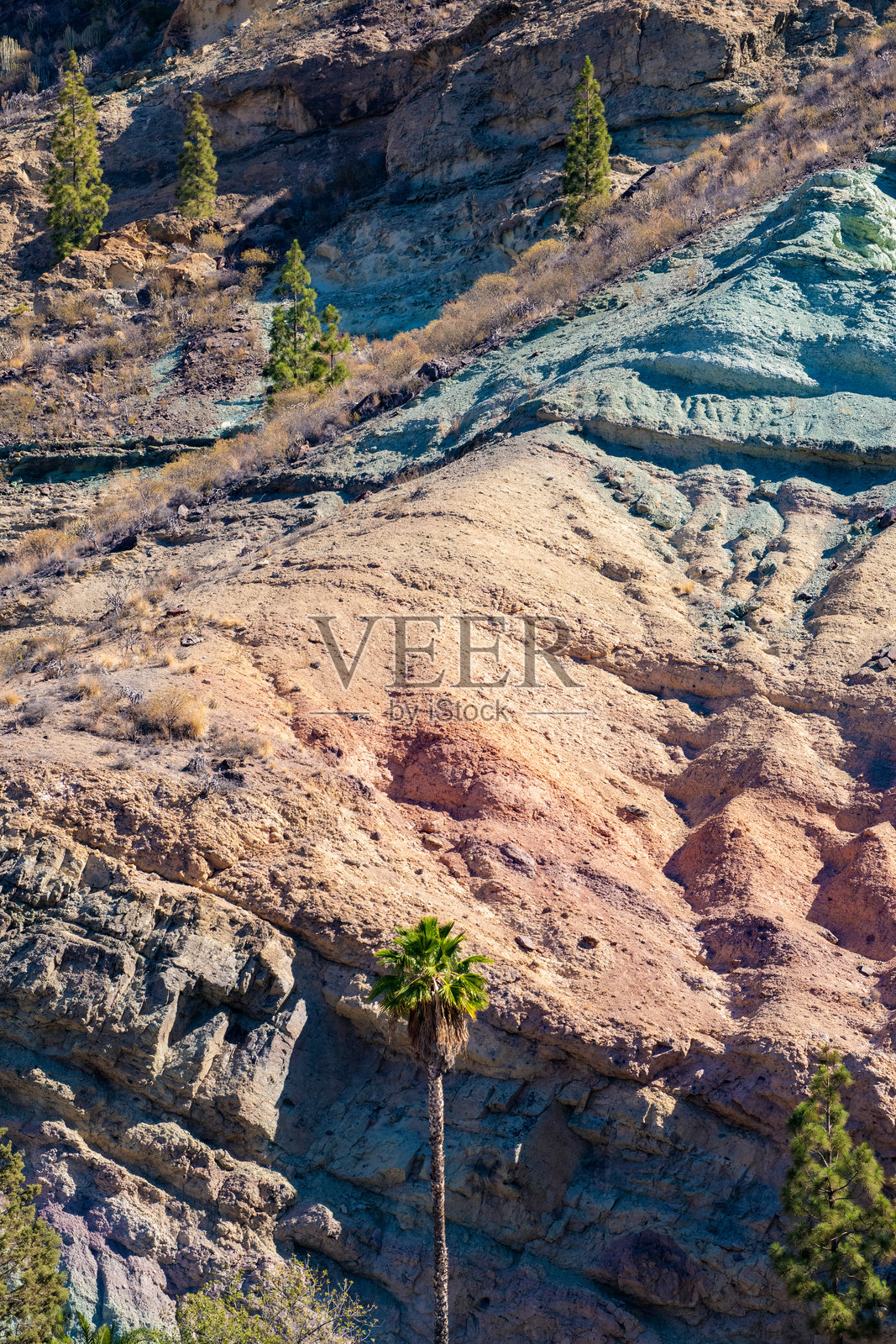 西班牙加那利群岛大加那利岛：沿着从圣尼古拉斯村到莫甘的风景道路，洛斯阿苏莱霍斯德维内古埃拉（彩虹岩石）的详细信息，这是一个真实的地质露天博物馆。照片摄影图片