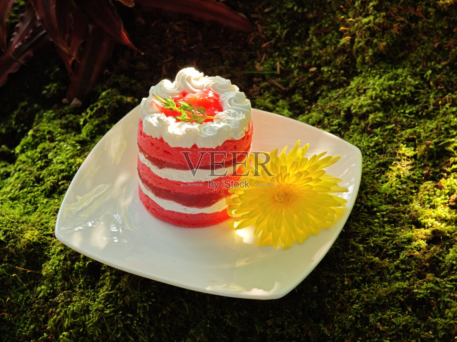 法式草莓蛋糕，搭配香草奶油。照片摄影图片