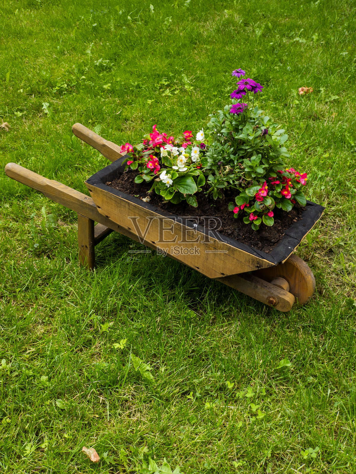 一个装满鲜花的木制手推车静静地放在草地上照片摄影图片