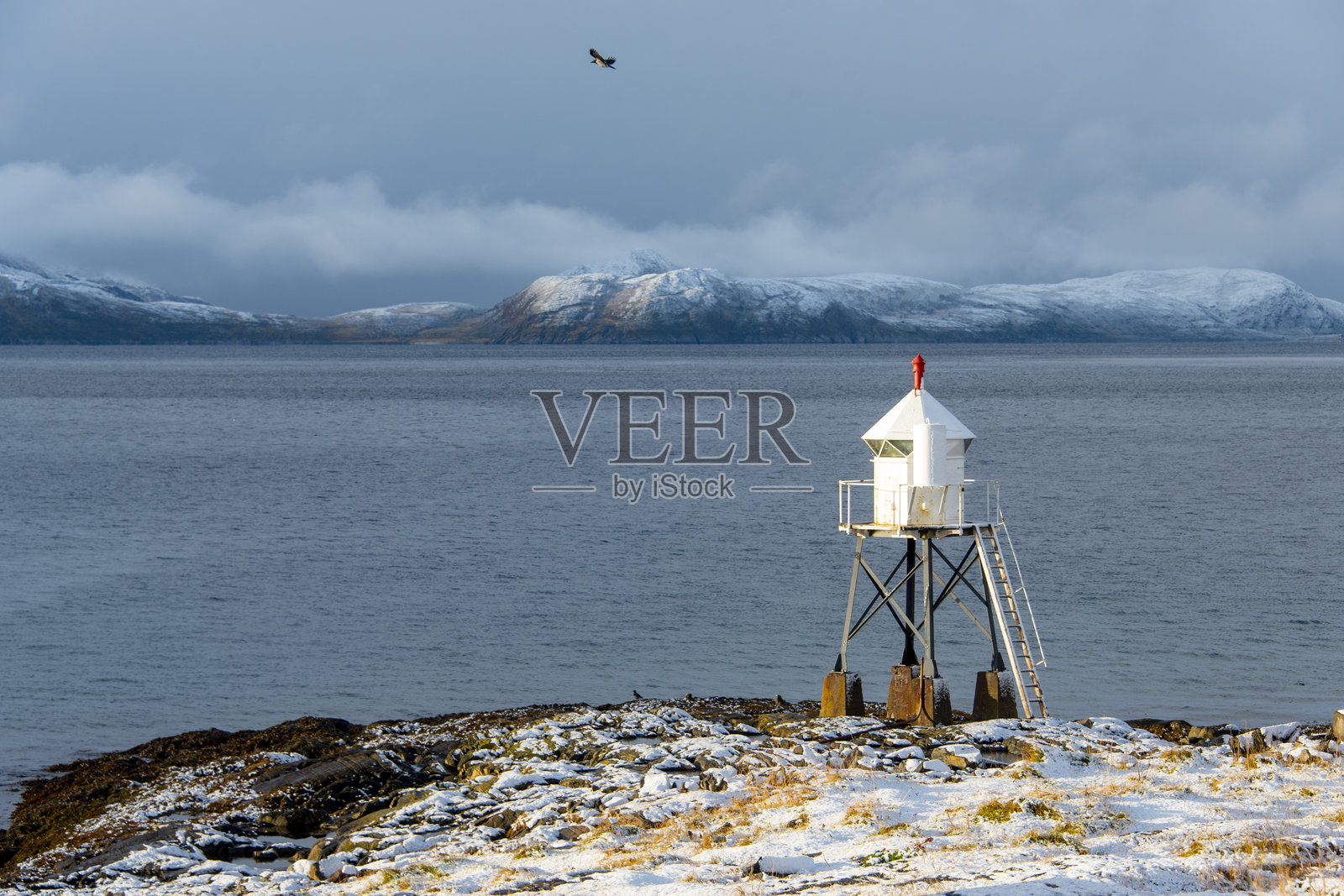 Fuglenes灯塔照片摄影图片