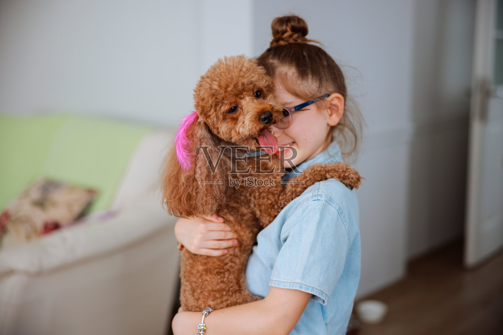 小女孩在客厅里和狗玩耍照片摄影图片