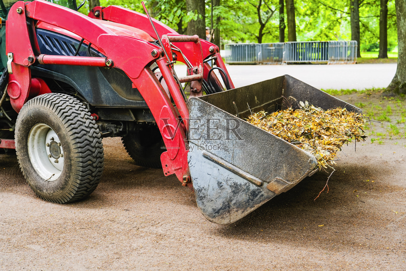 公园里工作后，装满树叶和树枝的拖拉机铲斗照片摄影图片