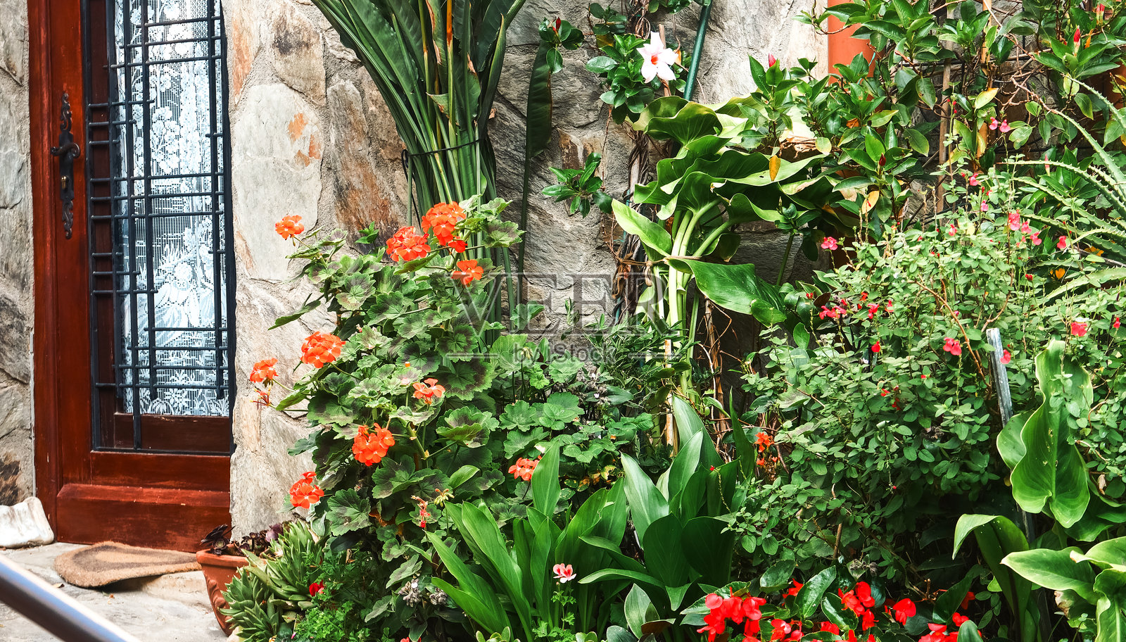 地中海沿岸老度假小镇班尤尔-苏尔-梅尔的风景与建筑，度假时光照片摄影图片