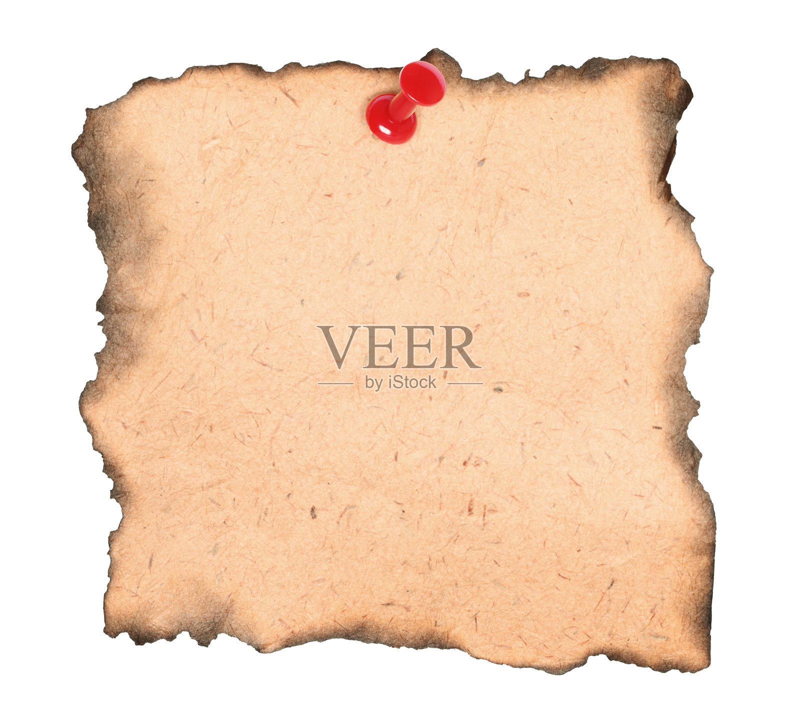 一张被红色图钉固定的空白烧焦旧纸，孤立在透明背景上。复古空白纸张概念照片摄影图片