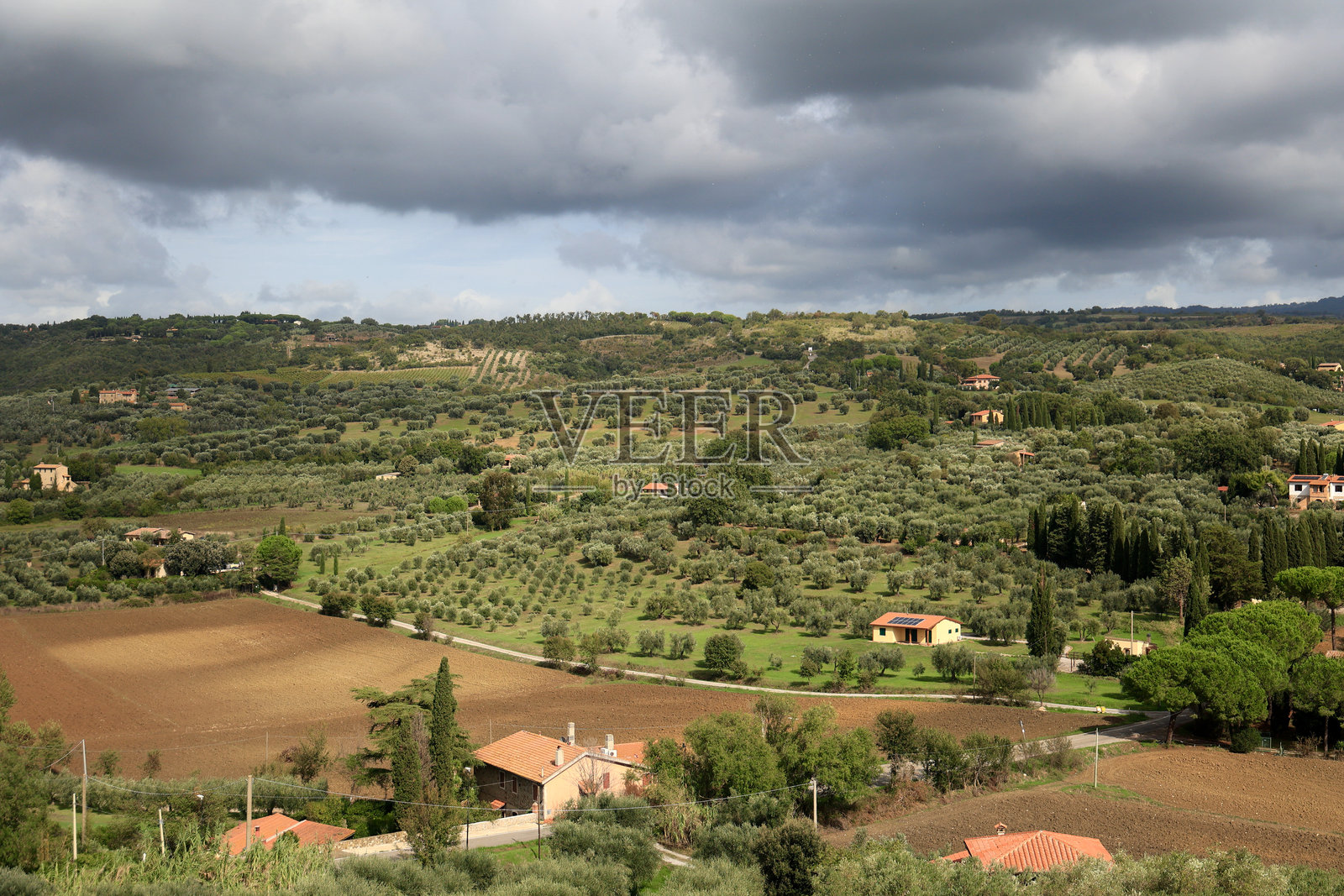 意大利托斯卡纳的马利亚诺，阴郁天空下的橄榄树林和农田照片摄影图片