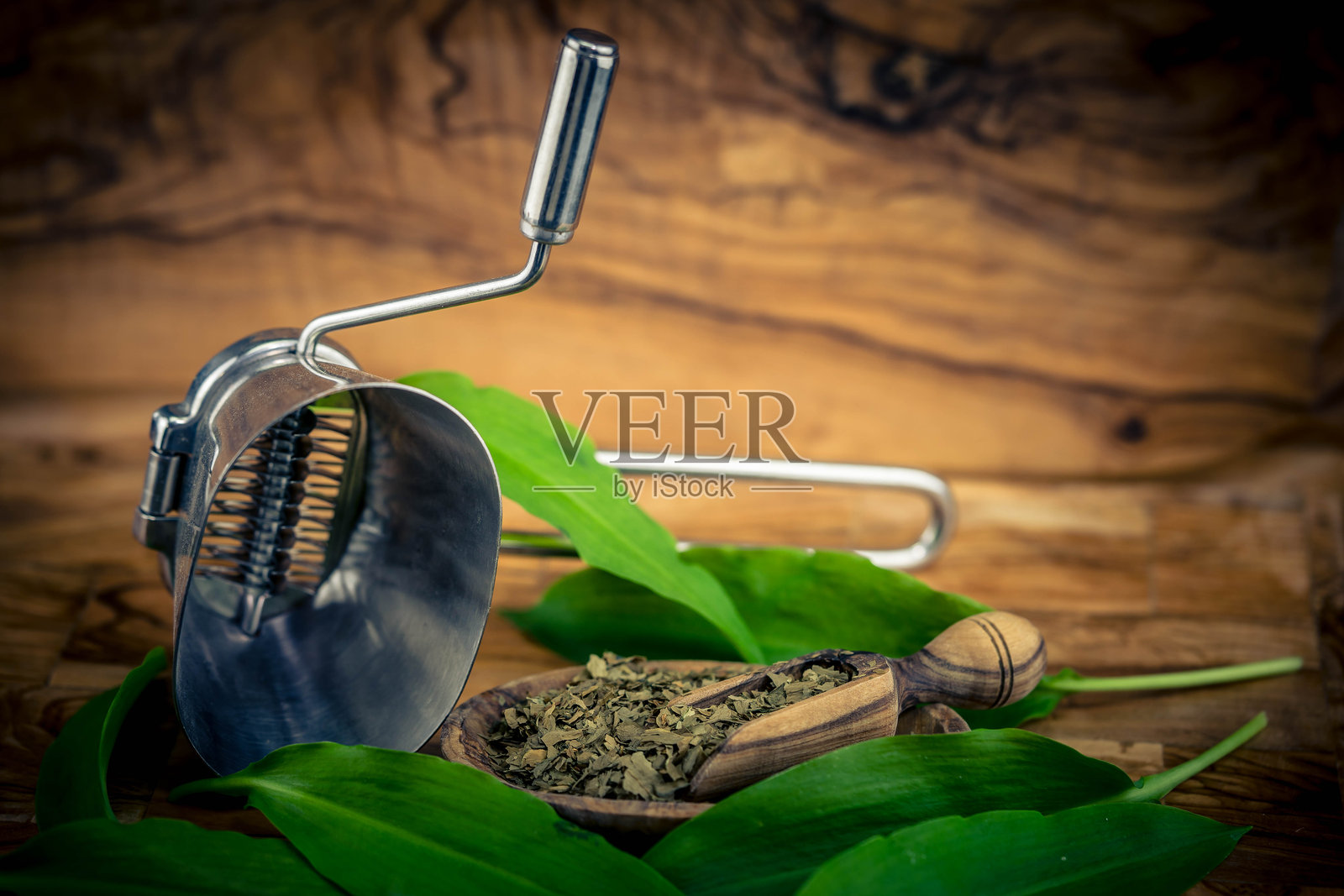 野蒜照片摄影图片