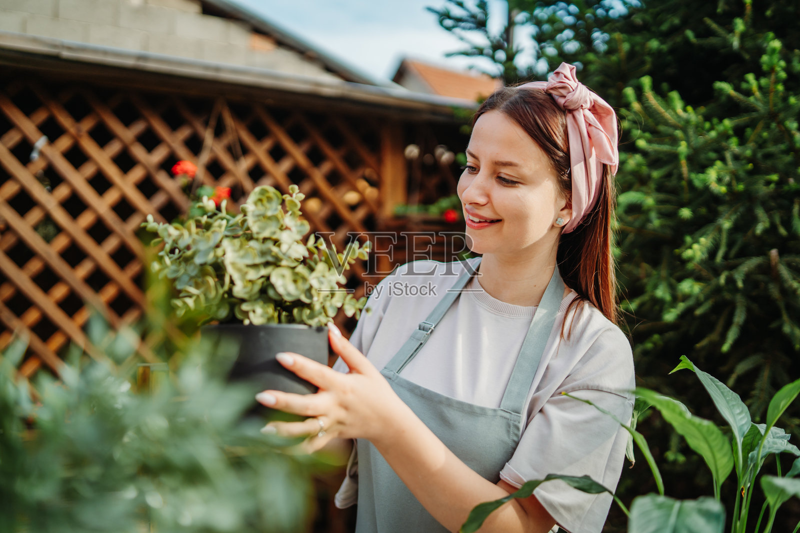 年轻女性用浇水壶和喷雾器照顾植物照片摄影图片