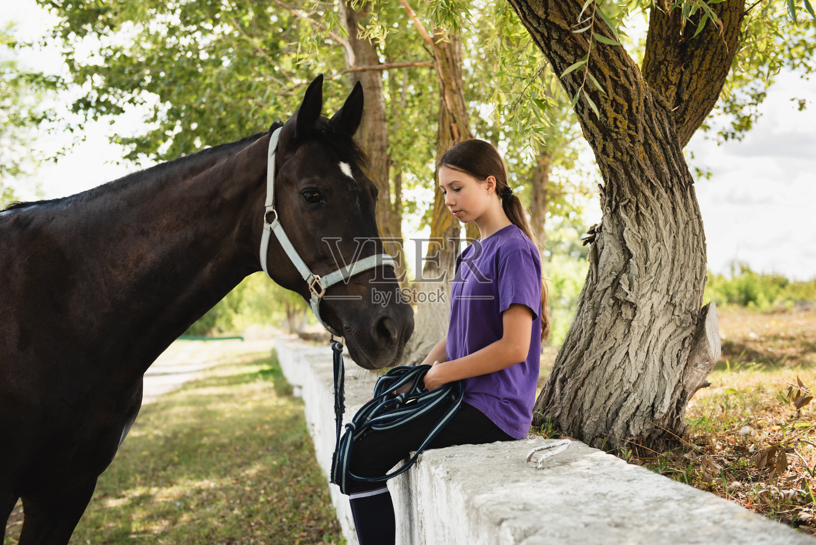 美丽的女孩与马一起散步。宠物美容的概念照片摄影图片