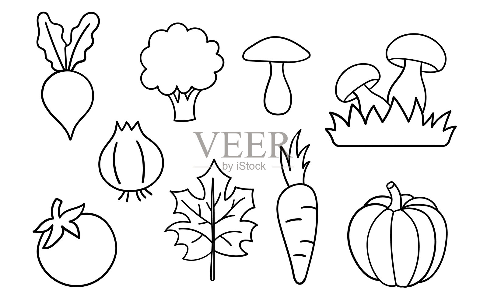 秋季主题轮廓图集。手绘矢量插图，独立于白色背景。插画图片素材