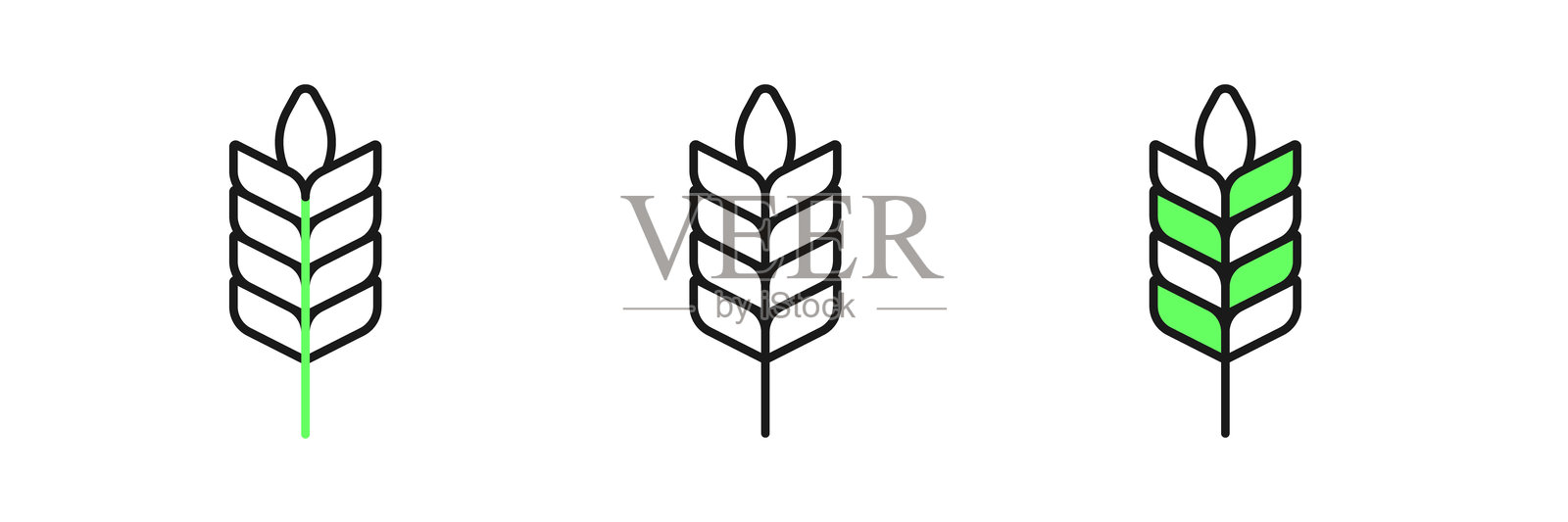 谷物系列，包括大米、小麦、玉米、燕麦、黑麦和大麦图标，背景为白色。麦穗和面包符号。矢量图。插画图片素材