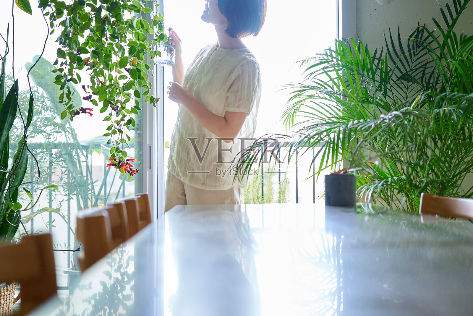 一位女性在房间里给盆栽浇水照片摄影图片