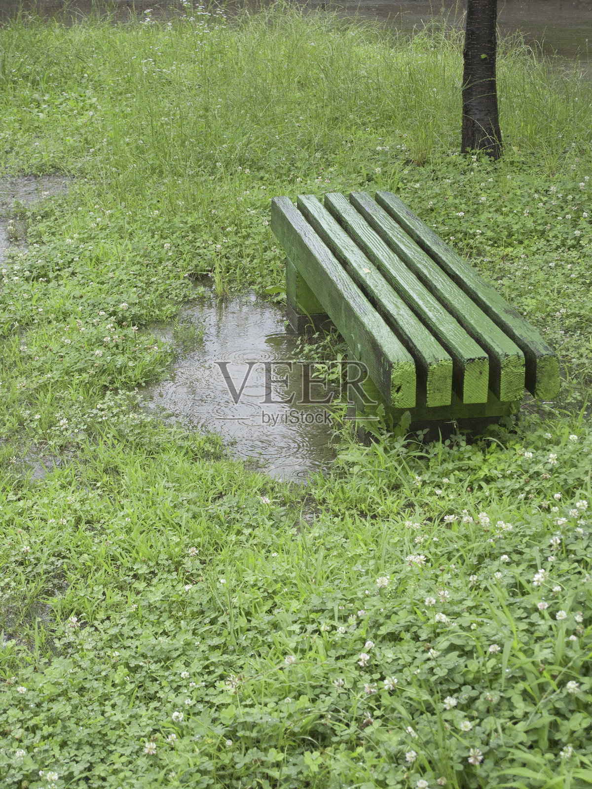 公园里被雨淋湿的木长椅照片摄影图片