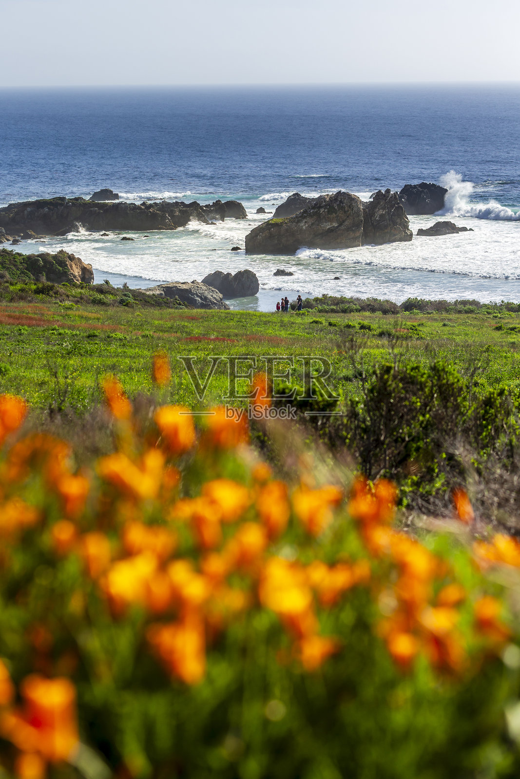 加州海岸公路1号照片摄影图片
