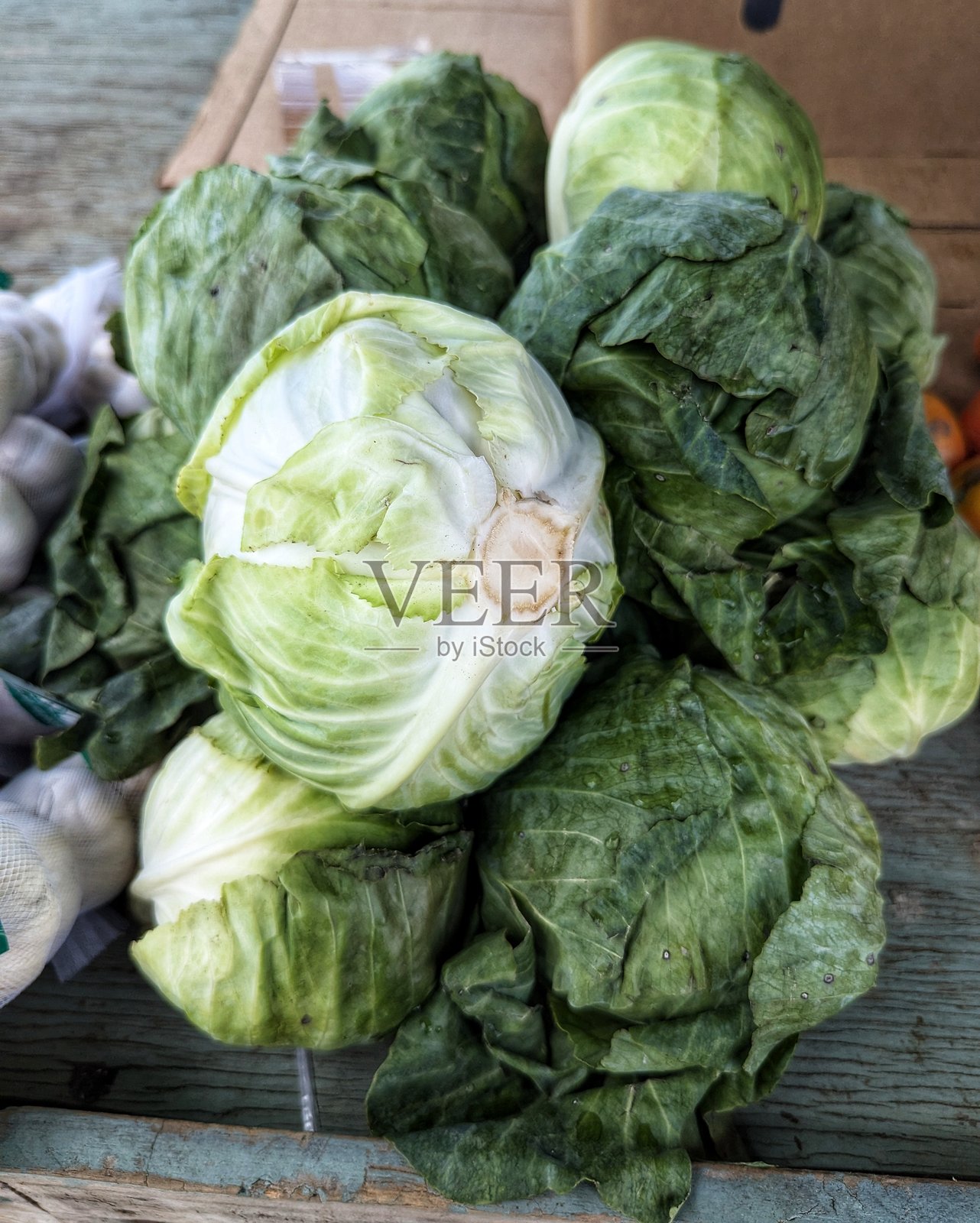 一堆卷心菜照片摄影图片