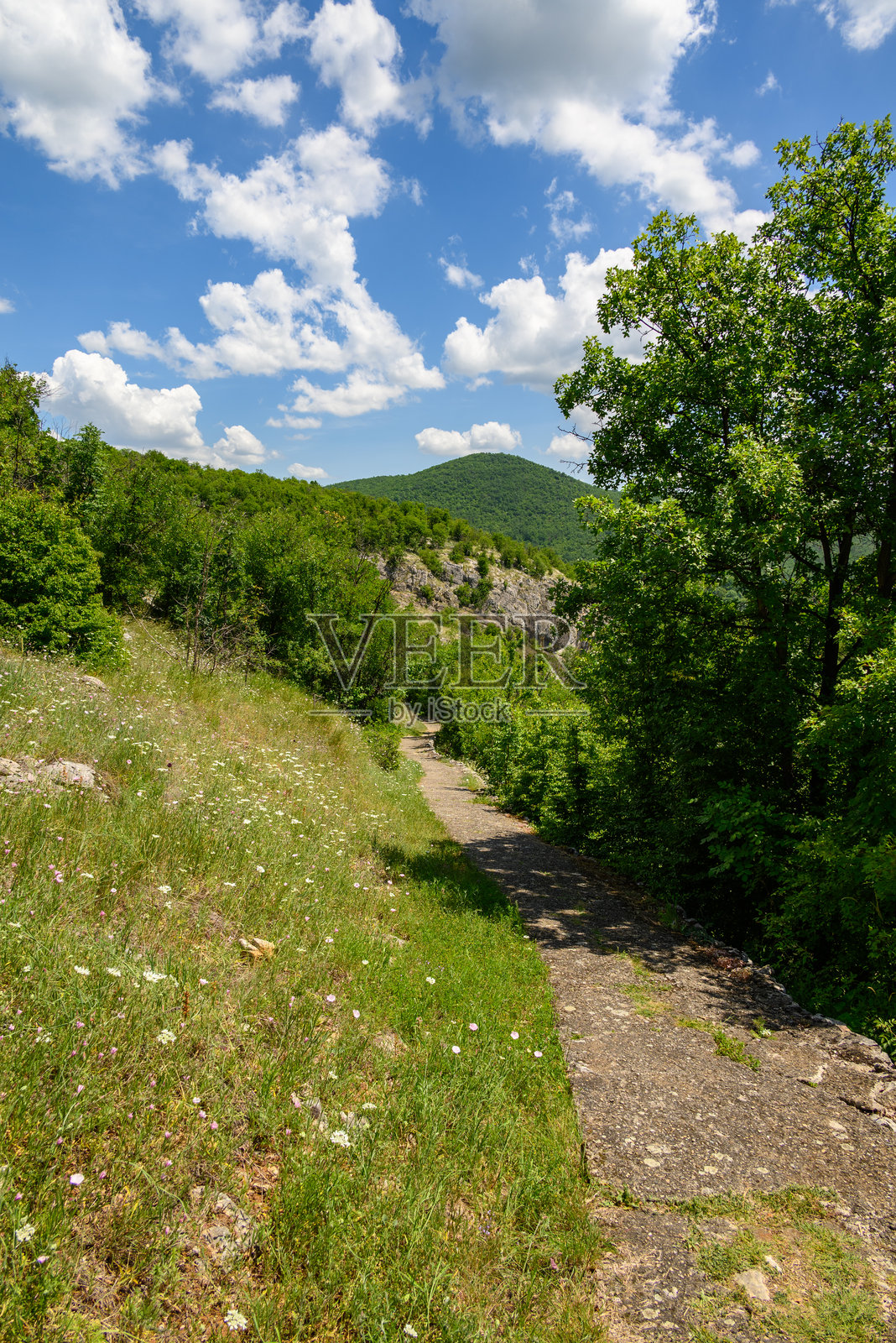 拉扎尔峡谷（Lazarev kanjon）的风景，位于东塞尔维亚的博尔市附近，是该地区最深、最长的峡谷。照片摄影图片