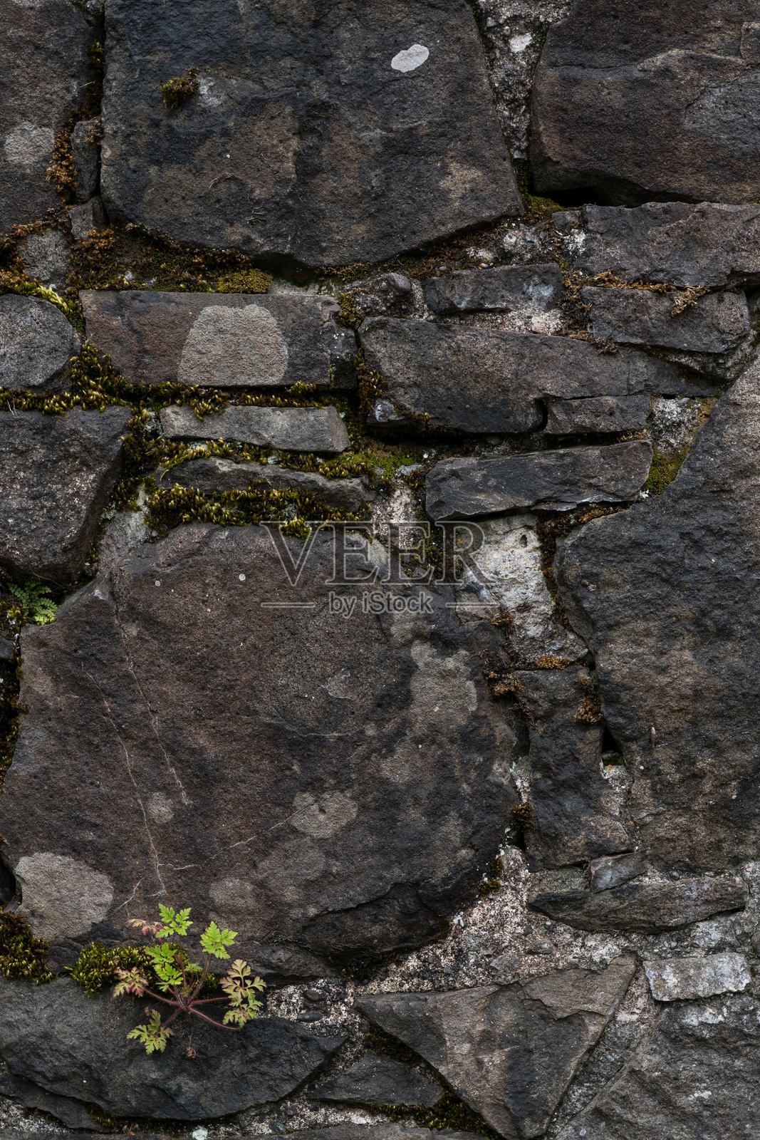 古堡格瓦拉的石墙。背景是一面石墙。照片摄影图片