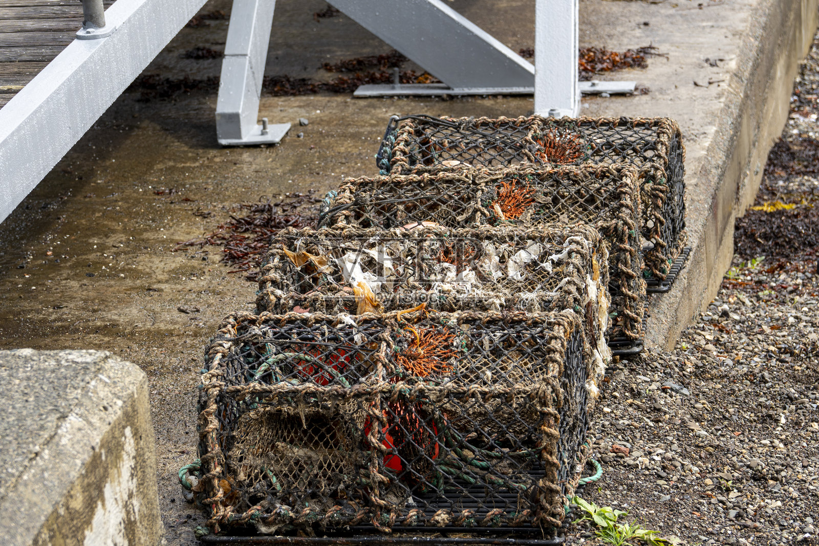 斯凯岛是苏格兰内赫布里底群岛中一个大型且风景如画的岛屿，以其壮丽的自然景观而闻名。照片摄影图片