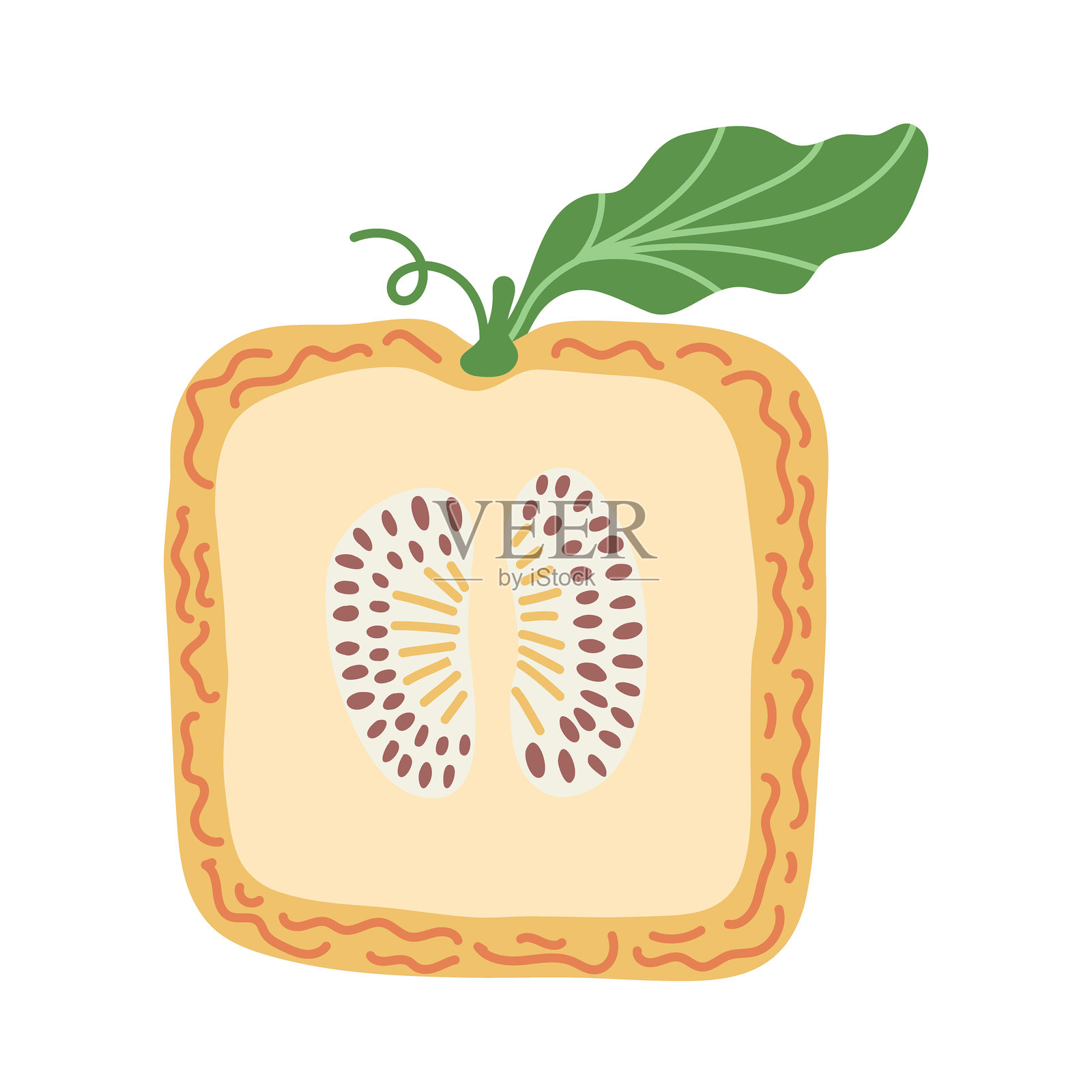 艺术手绘水果矢量插图插画图片素材