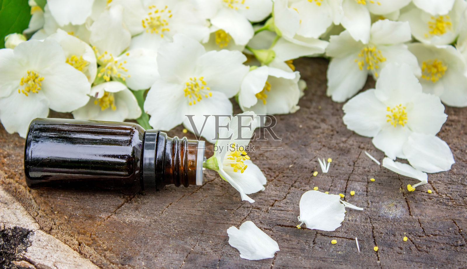 玻璃瓶中的茉莉花精油和茉莉花。油类。照片摄影图片