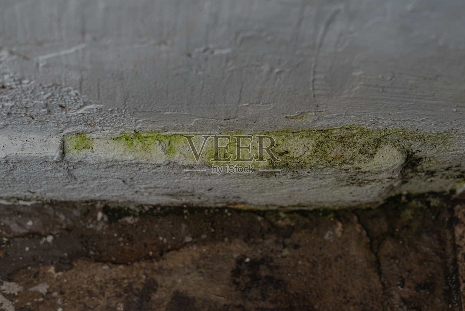 地面纹理图案的照片照片摄影图片