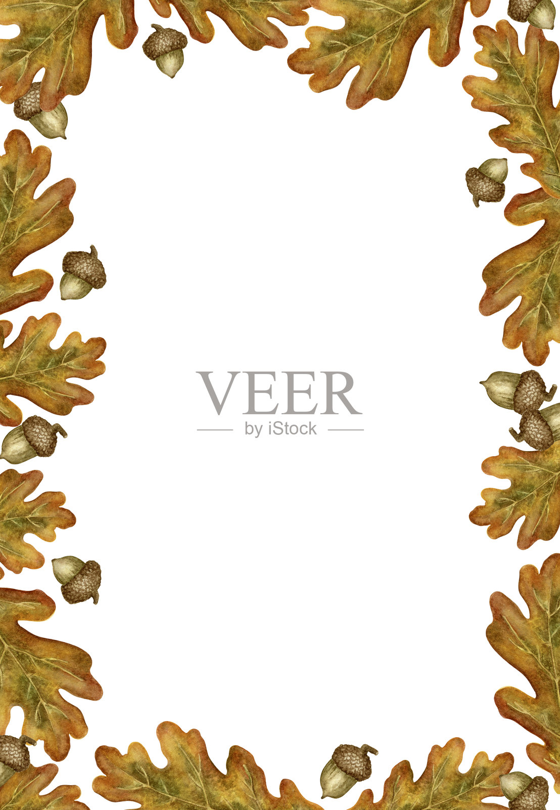 垂直的水彩框架，装饰着橡树叶和橡果插画图片素材