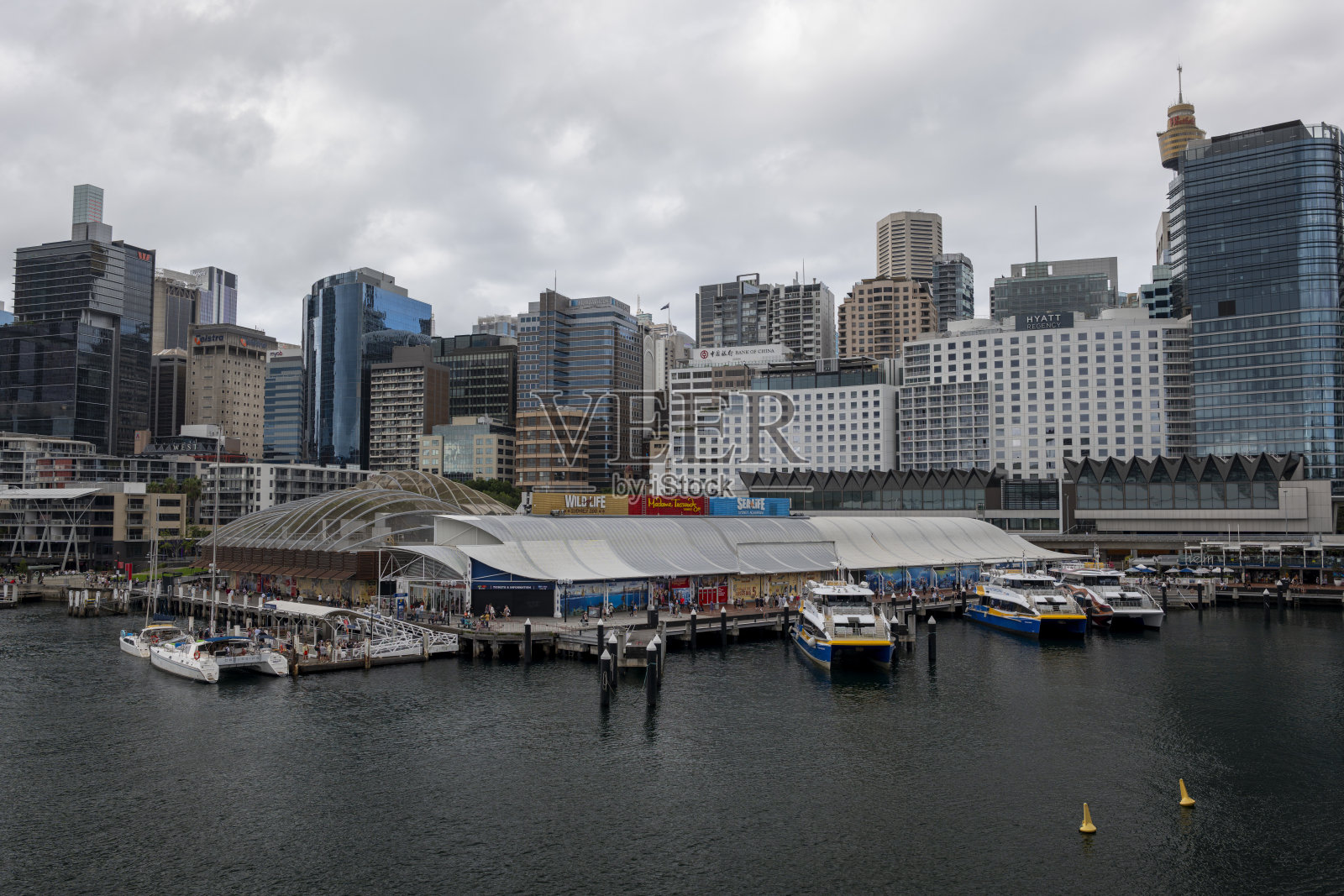 悉尼中央商务区，澳大利亚照片摄影图片