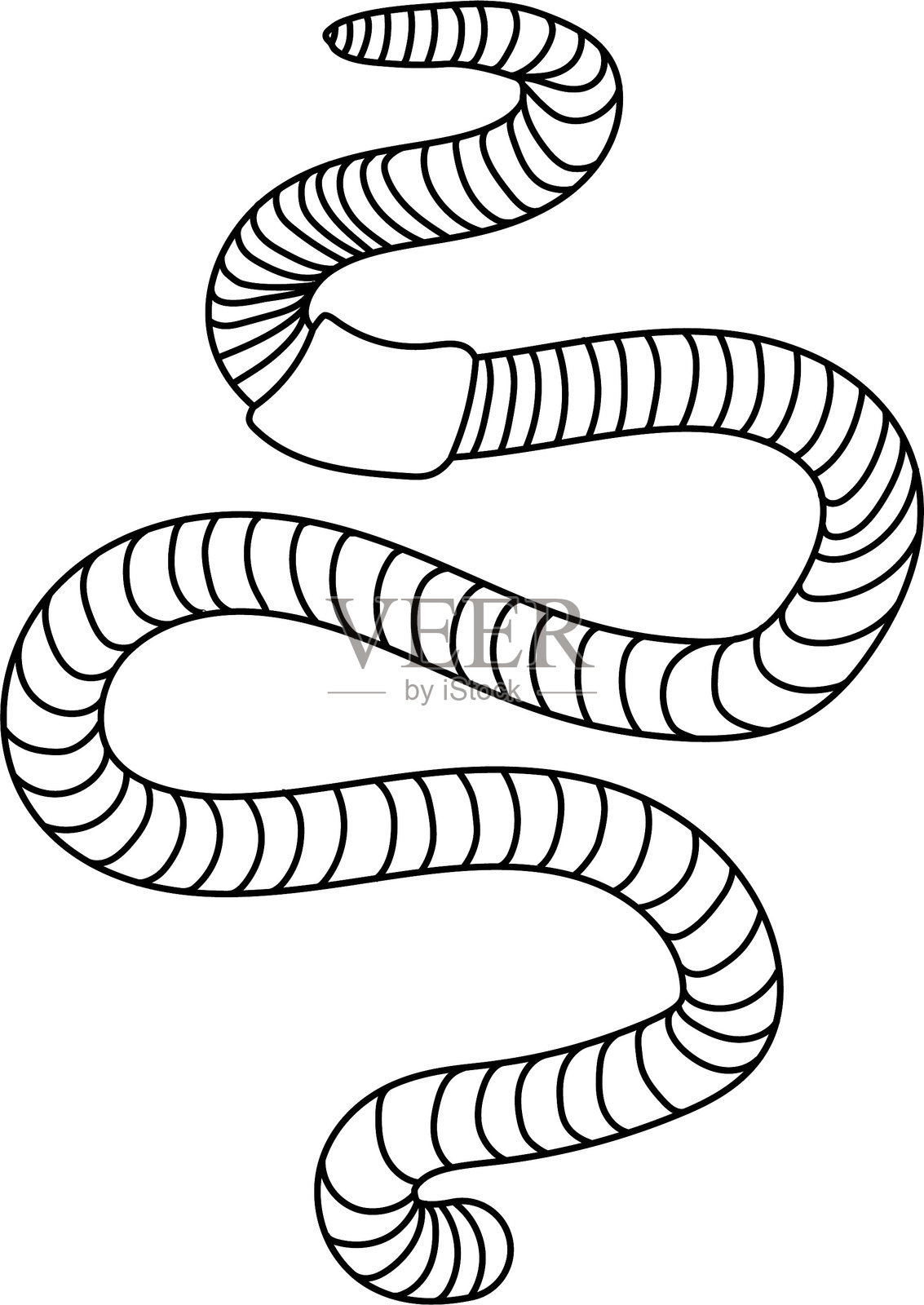 白色背景上的孤立蚯蚓涂色页插画图片素材