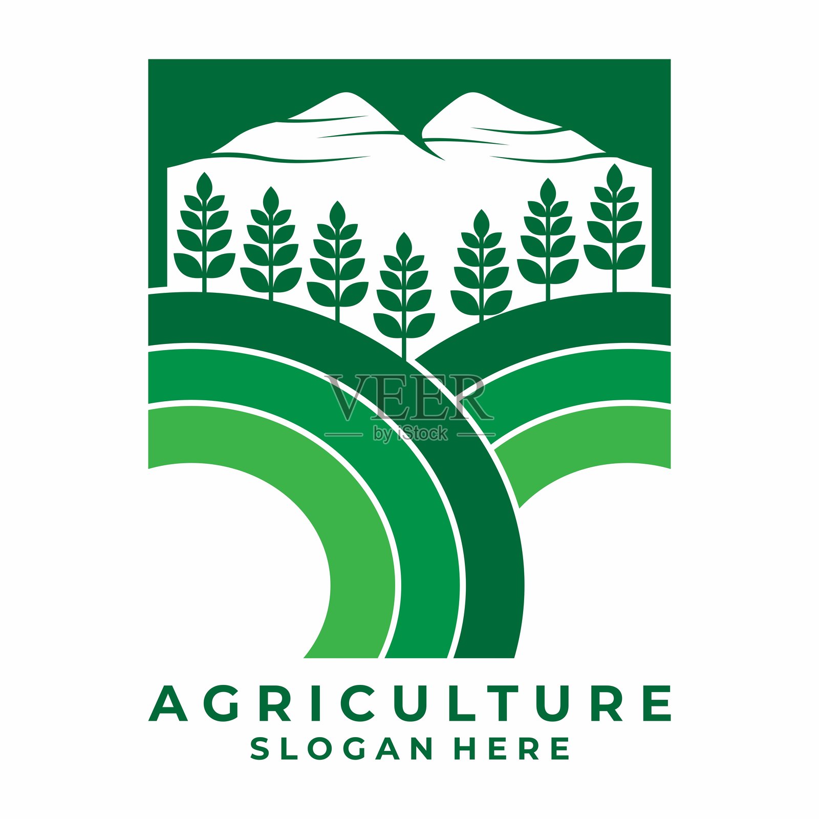 农业小麦稻米和农田标志设计矢量图插画图片素材