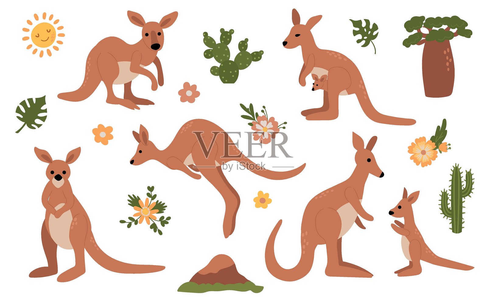 手绘袋鼠插图与花卉元素插画图片素材