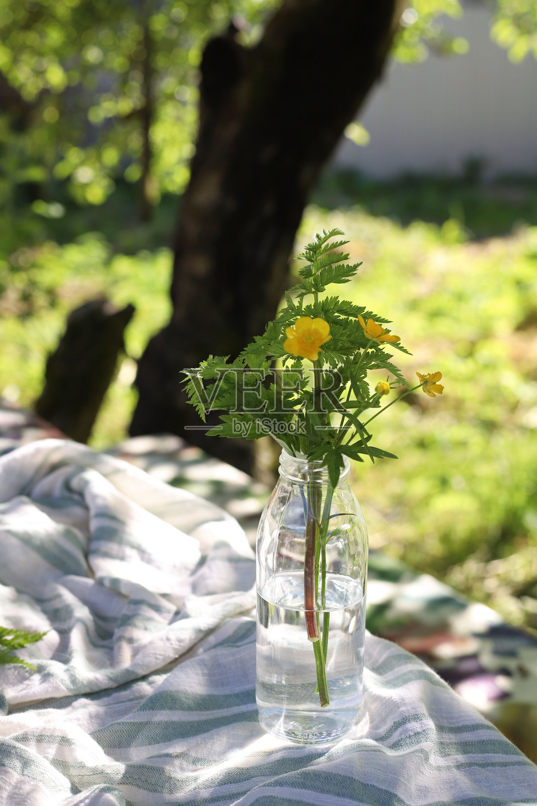 透明花瓶中的野花照片摄影图片