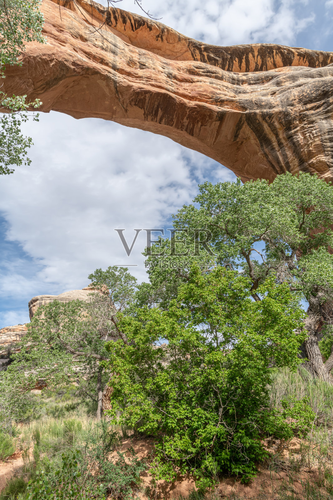 自然桥国家纪念碑中Sipapu自然桥的垂直图像，位于美国犹他州照片摄影图片