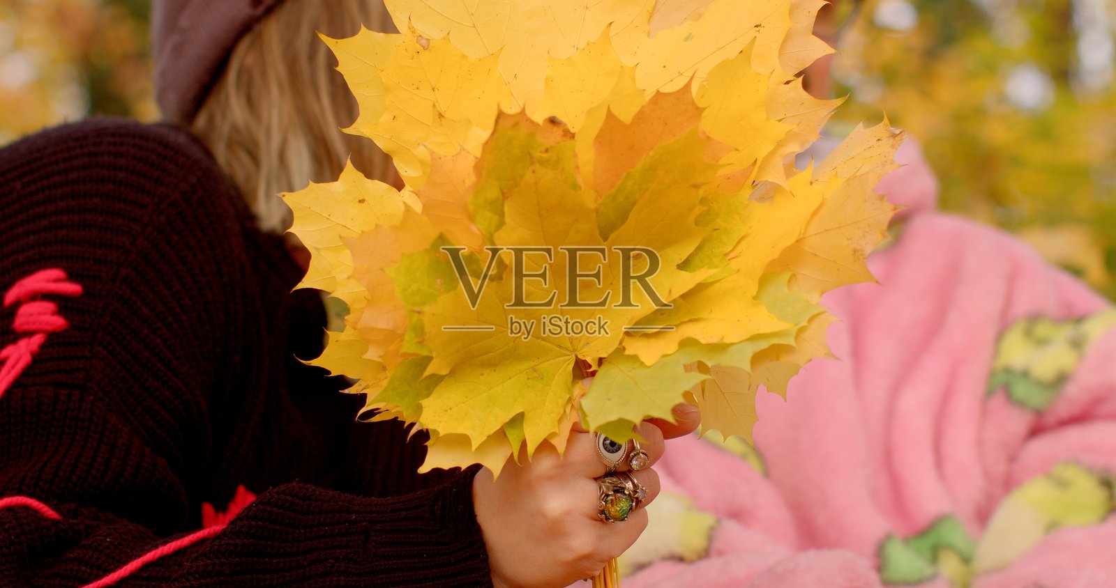 在美丽的公园环境中创造的秋叶花束照片摄影图片