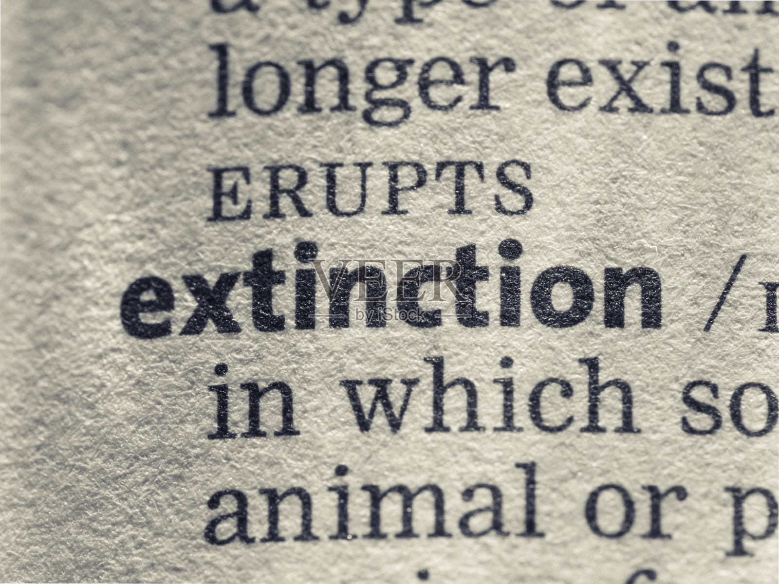 灭绝照片摄影图片