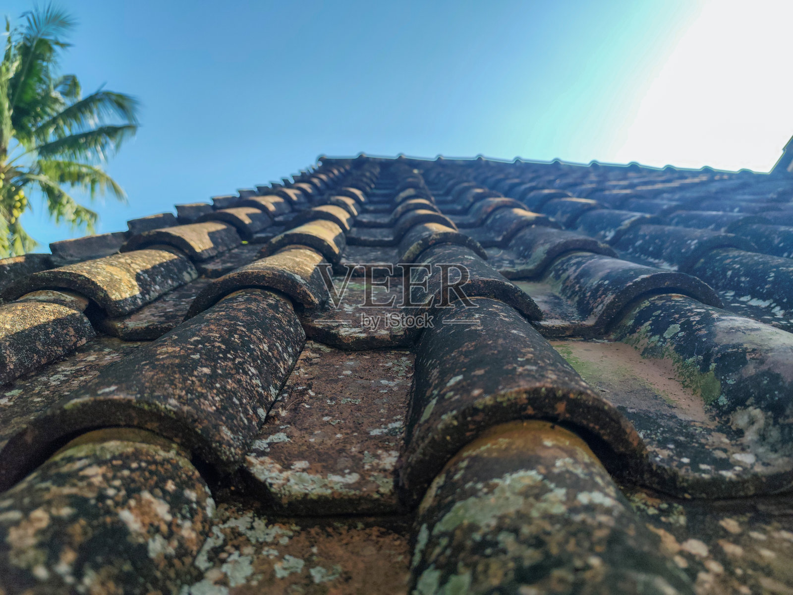 传统屋顶瓦片照片摄影图片