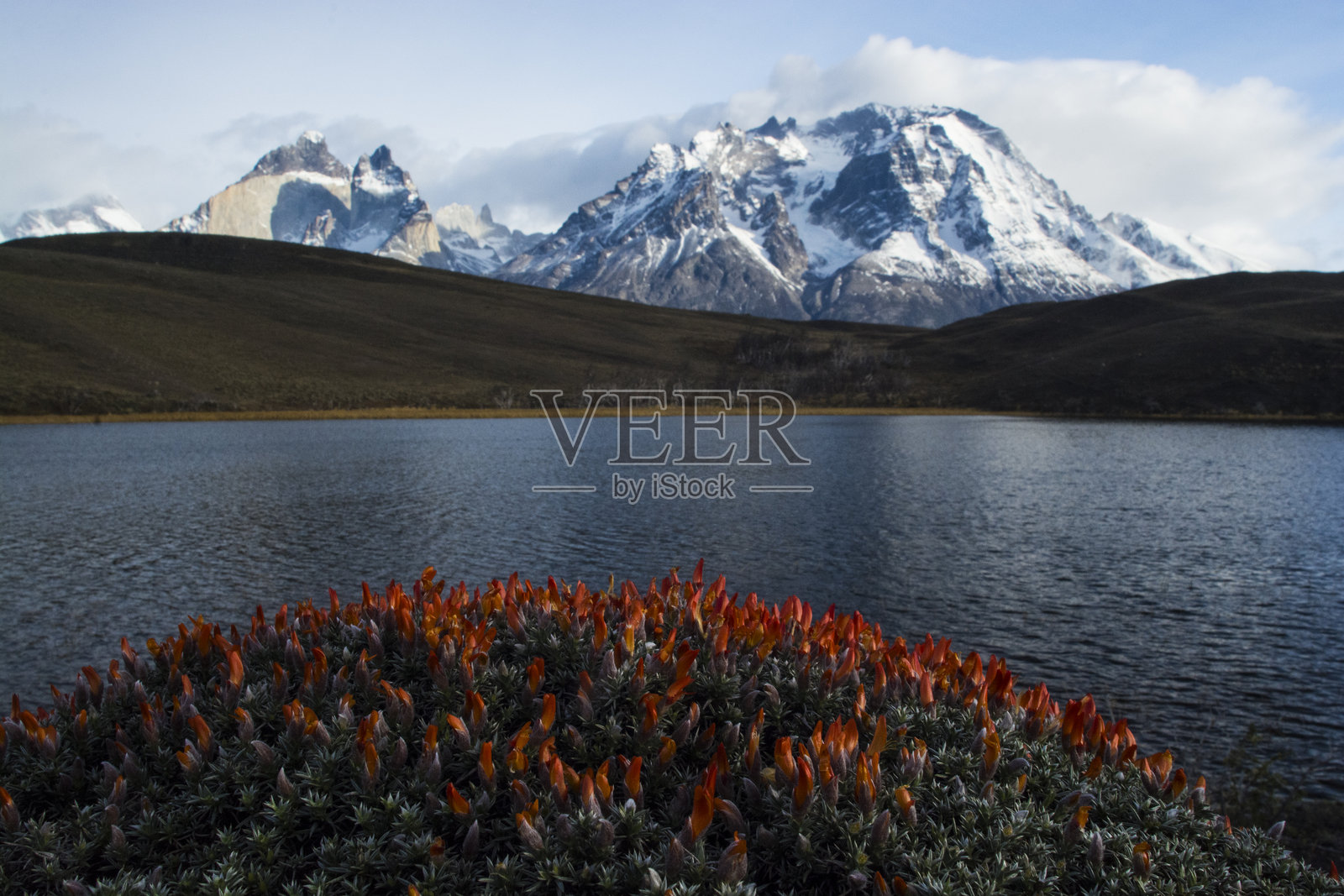 智利巴塔哥尼亚的托雷斯德尔潘恩国家公园，山地环境。照片摄影图片