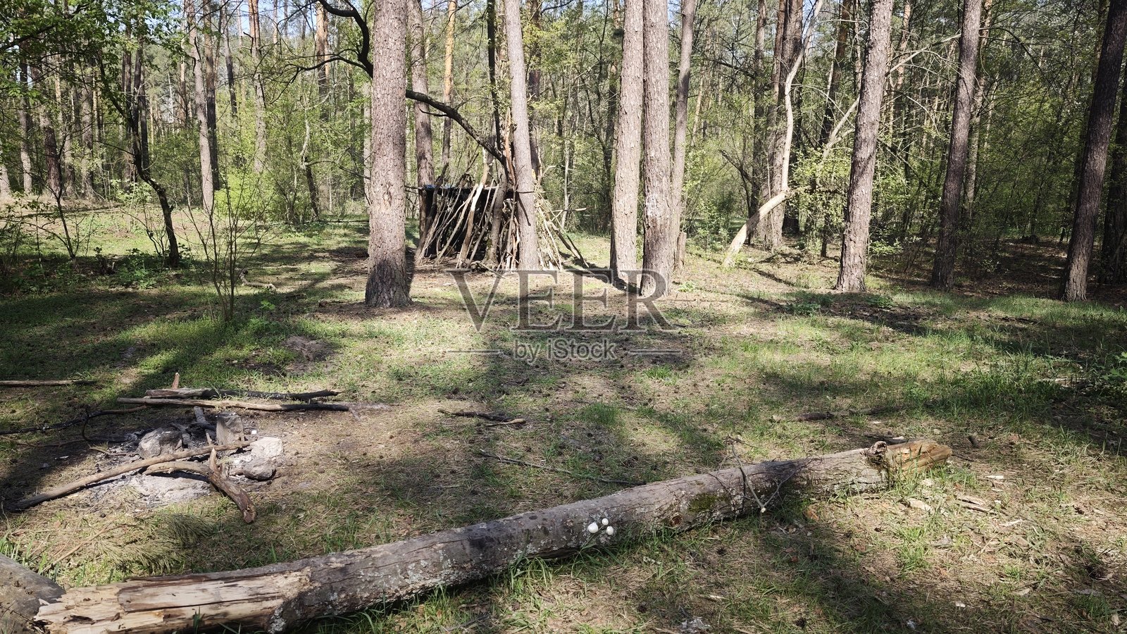 森林中用树枝搭建的小庇护所照片摄影图片