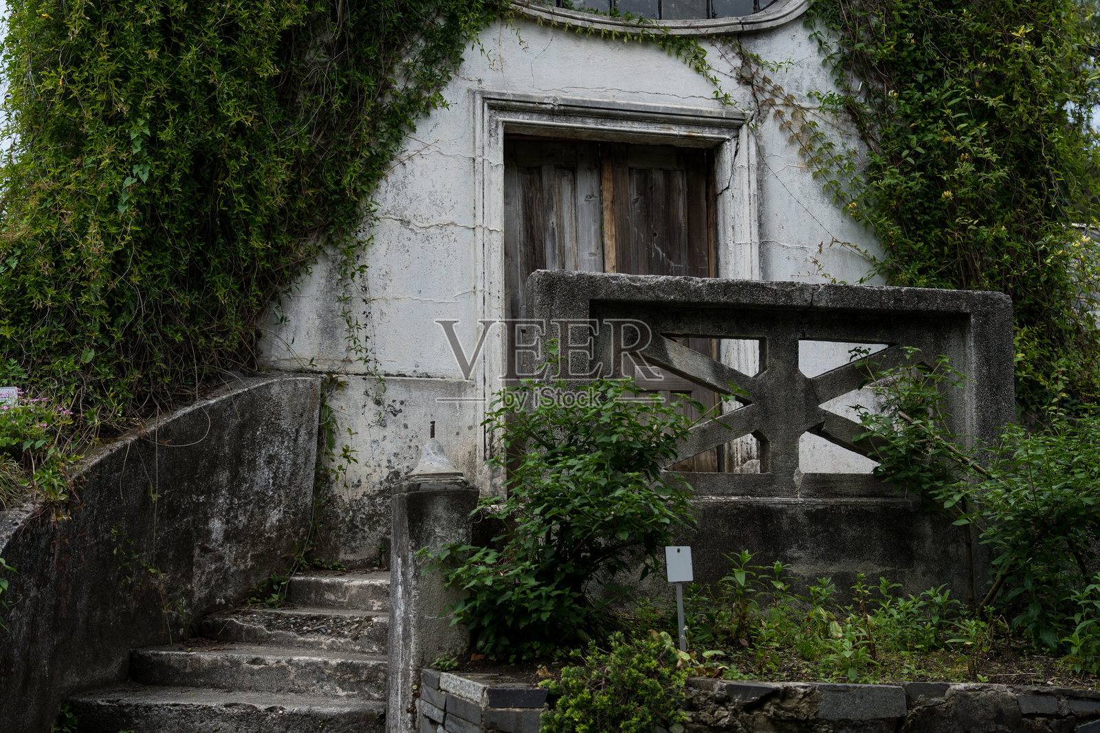花园里的老房子被藤蔓覆盖。乔治亚州的植物园照片摄影图片