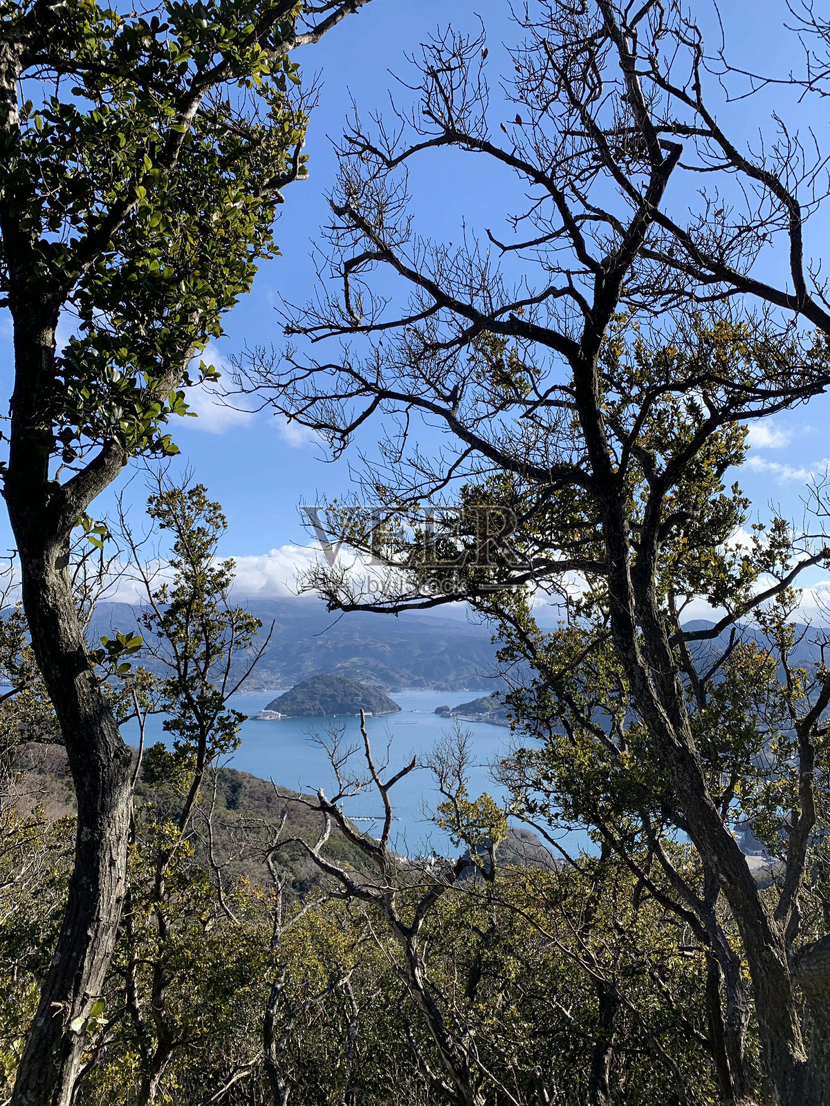 户外场景，树木与山脉的景观照片摄影图片
