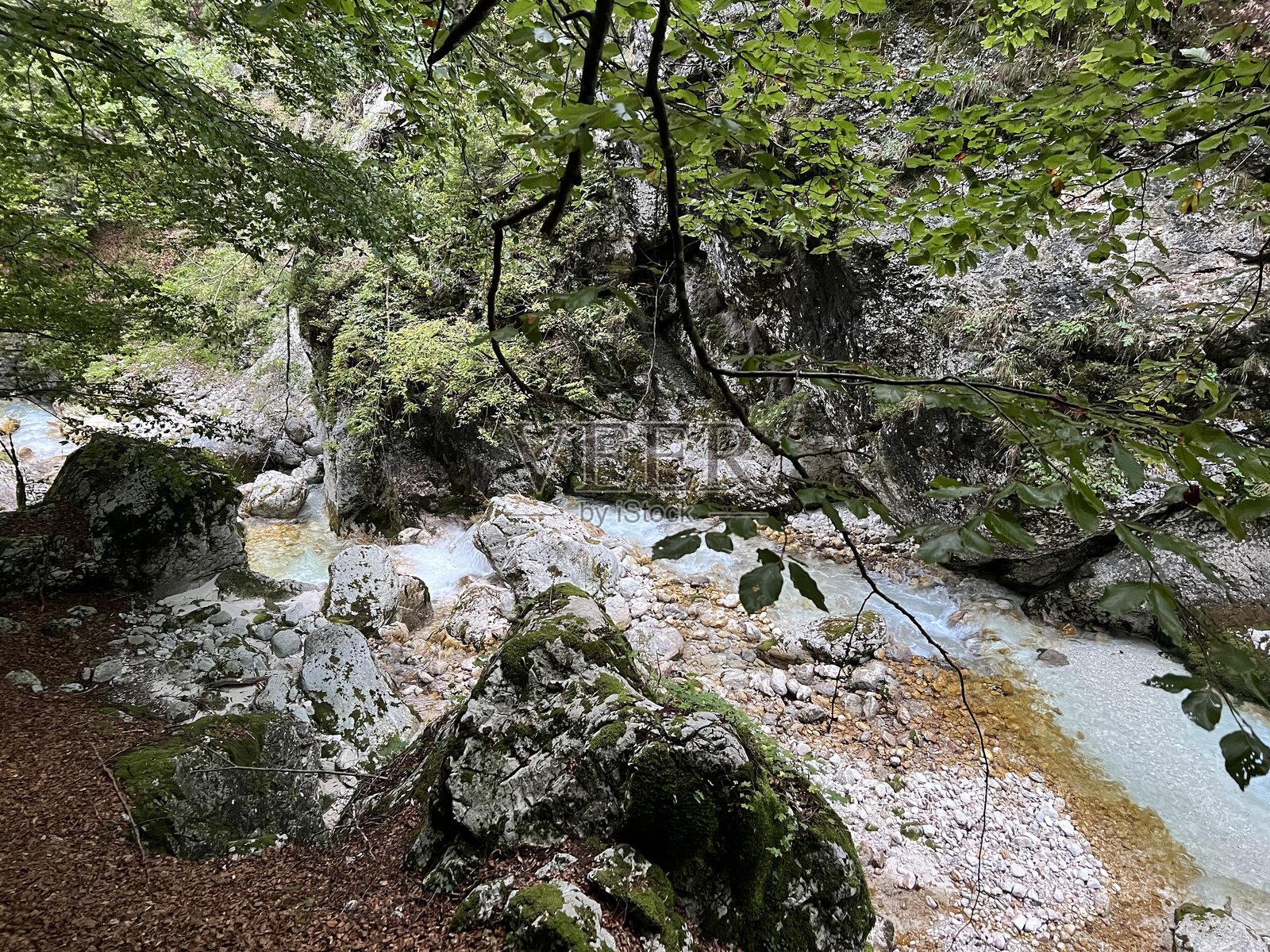 莫兹尼察峡谷或尼姆恰峡谷（特里格拉夫国家公园，斯洛文尼亚） - 莫兹尼察槽或尼姆恰河床，博韦茨（特里格拉夫国家公园，斯洛文尼亚） - 莫兹尼察峡谷或尼姆恰河道（特里格拉夫国家公园）照片摄影图片