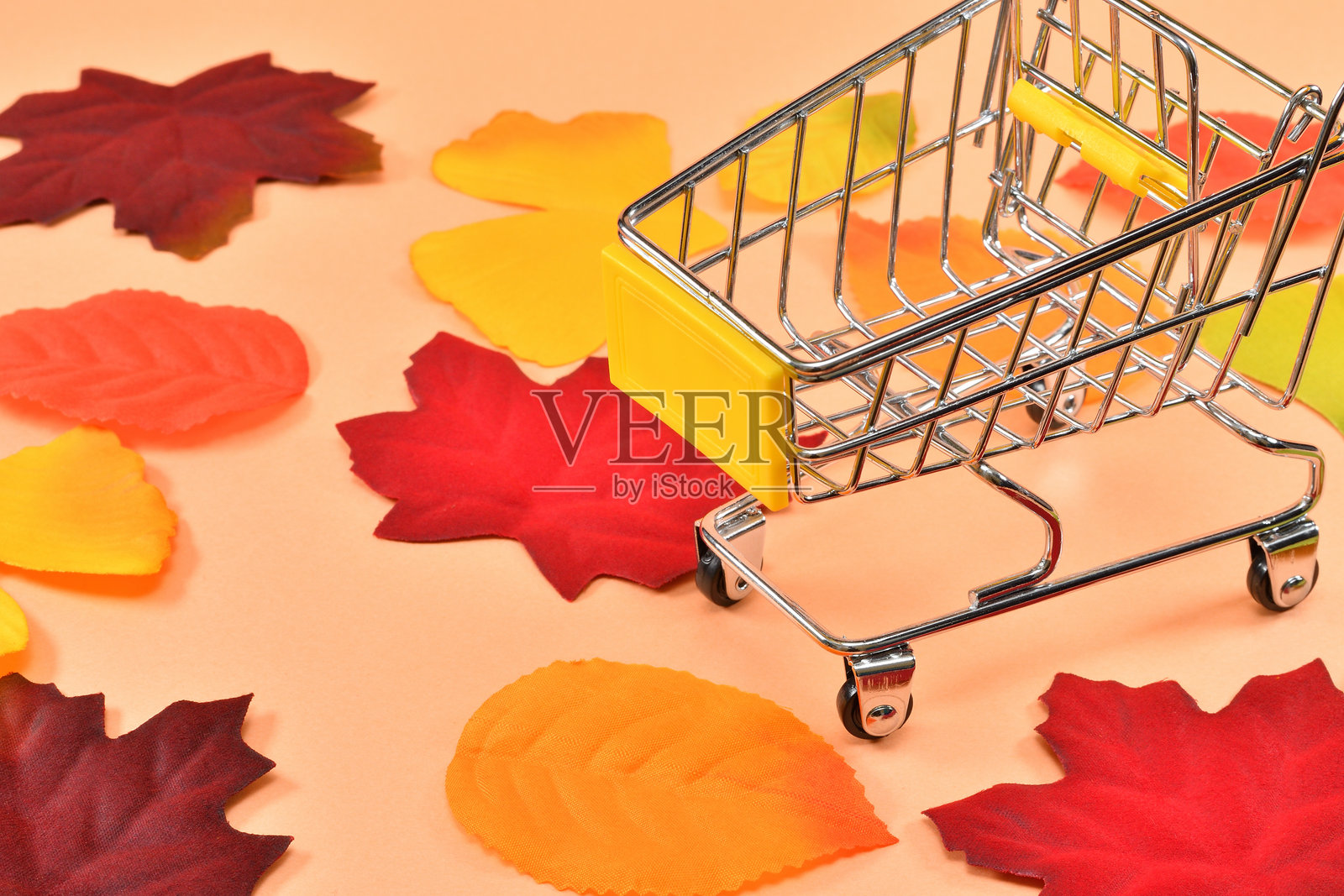 秋季促销照片摄影图片