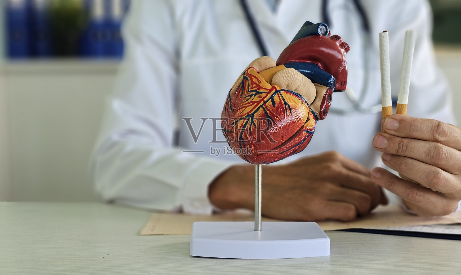 医生手持香烟以及心脏和动脉模型。吸烟的危害与心脏和血管疾病。照片摄影图片
