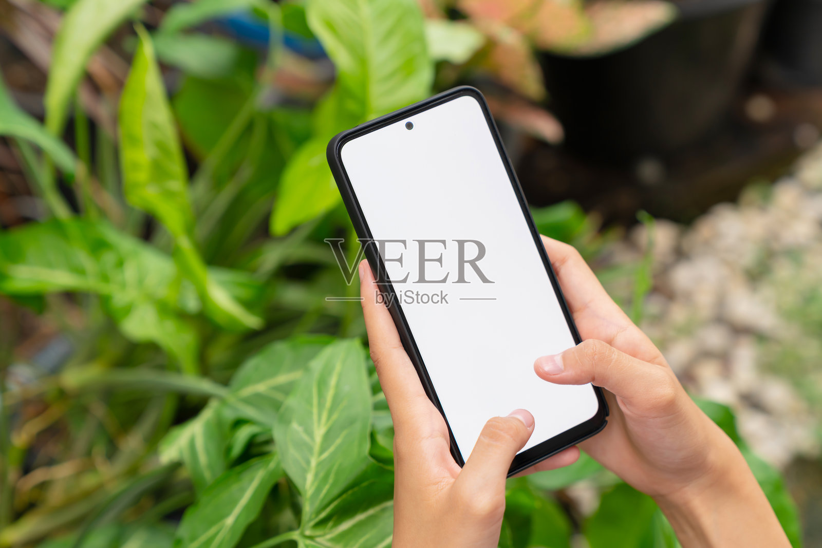手握智能手机，屏幕空白，适合在户外背景下进行图形展示拼贴，生活方式和无线技术的展示模板。照片摄影图片