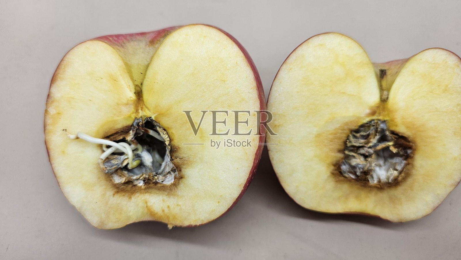 一个切成两半的红苹果，种子中长出了嫩芽，果心呈棕黑色，因为它已经熟透太久。照片摄影图片