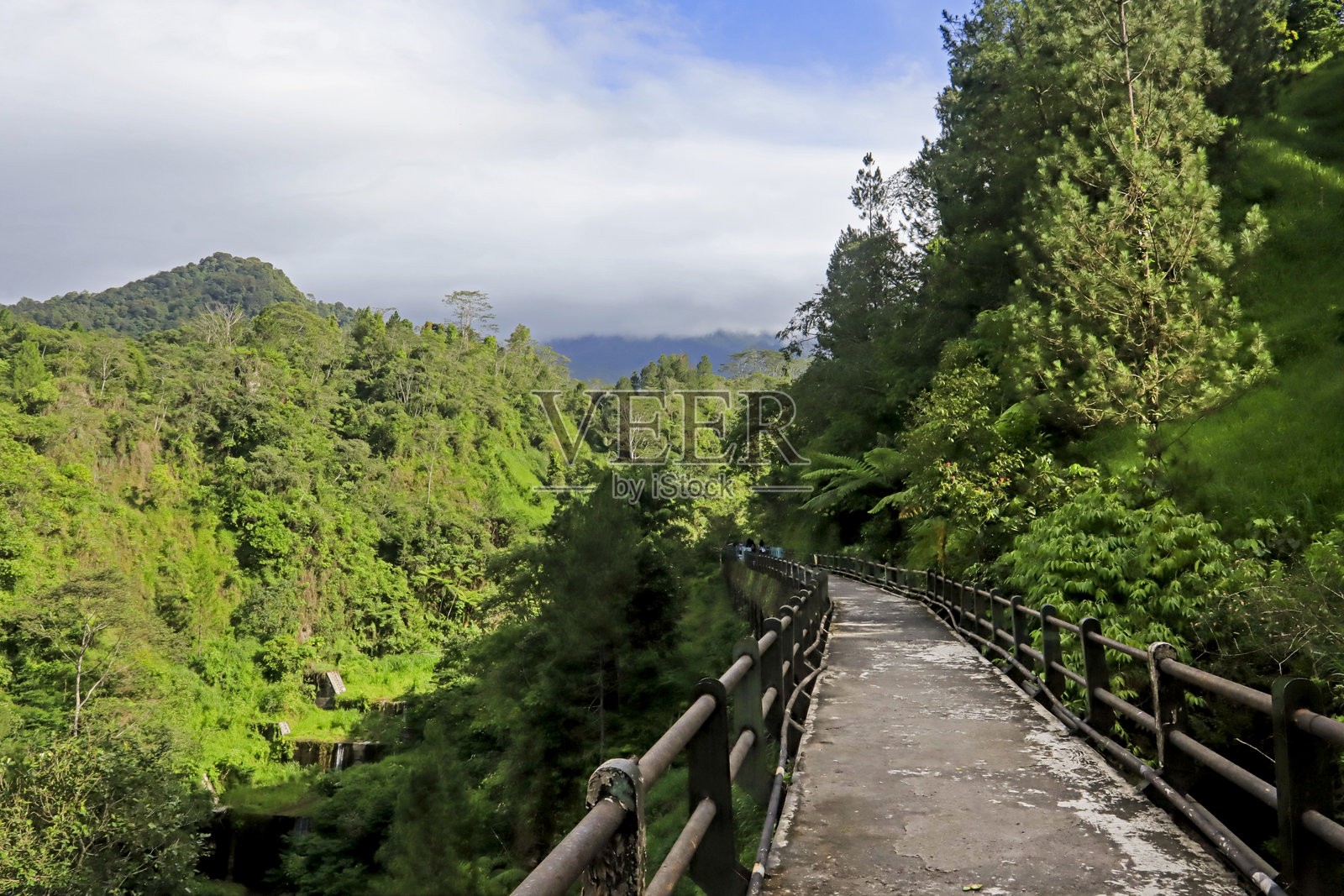 云雾缭绕的天空下，茂密绿色森林中的山间小径照片摄影图片