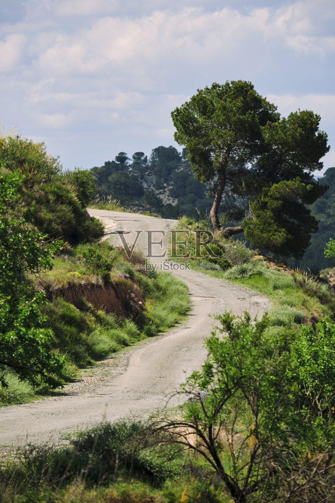 蜿蜒的乡村道路穿过郁郁葱葱的绿色景观，天空多云照片摄影图片