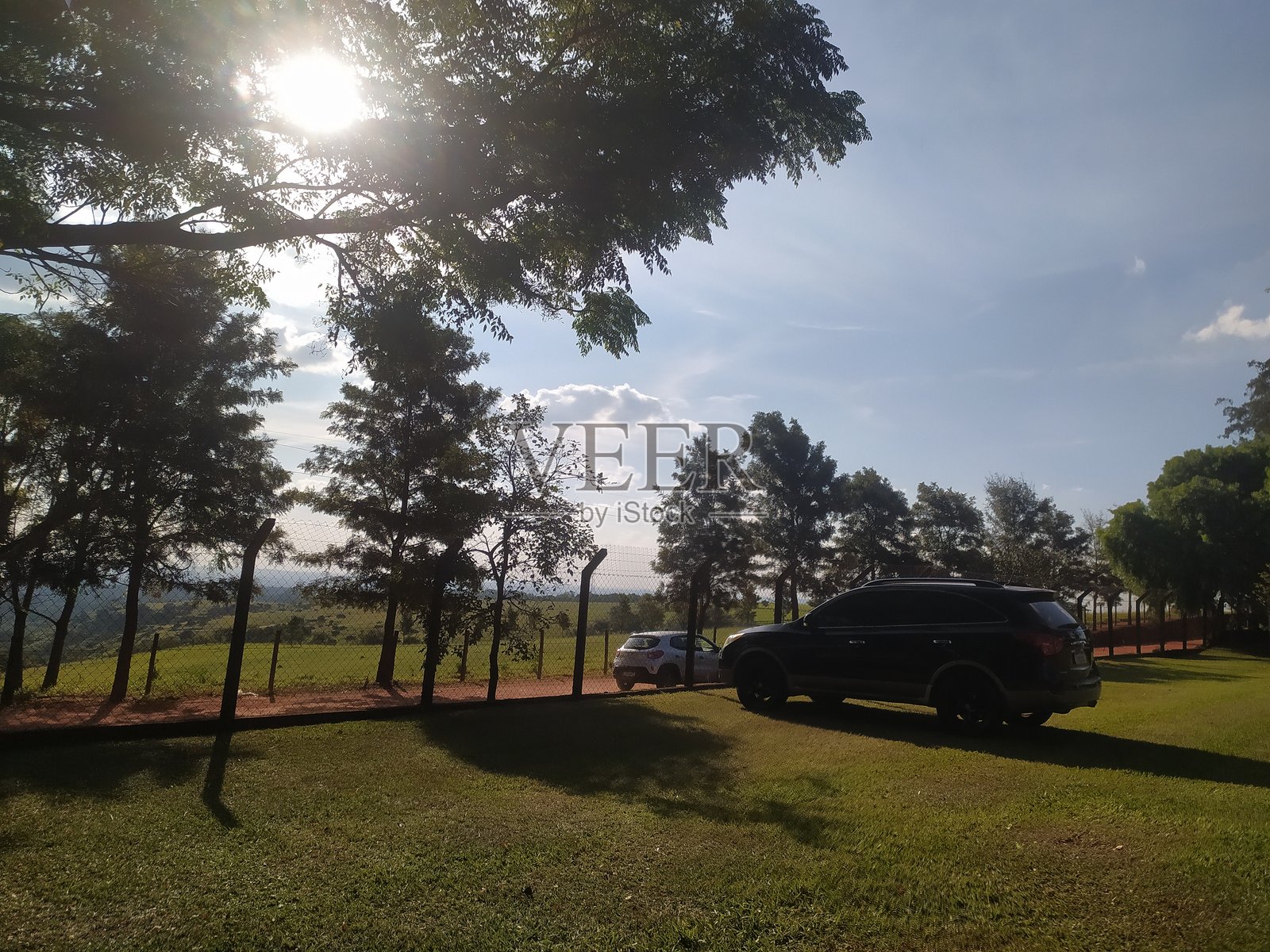 一辆车停在伊图的牧场树下照片摄影图片