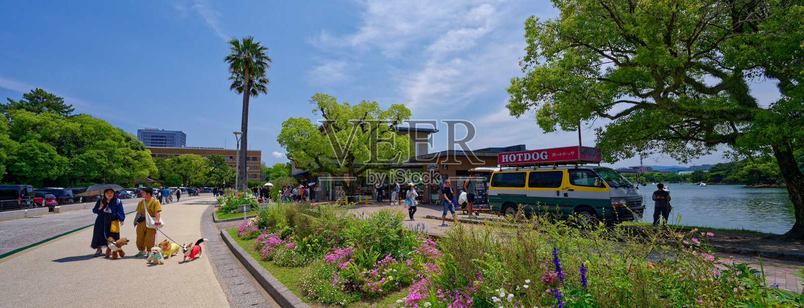 大濠公园的星期六早晨照片摄影图片