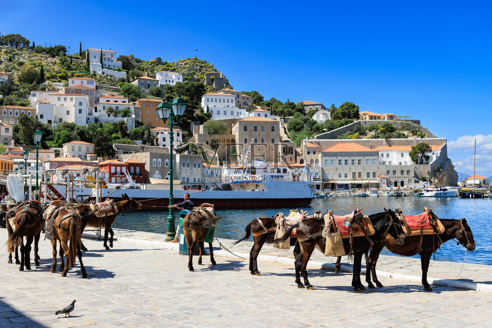 希腊海德拉岛海滨的驴子照片摄影图片